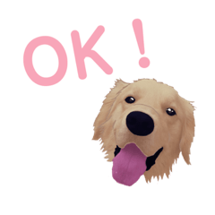 [LINEスタンプ] ちゃーすけ君