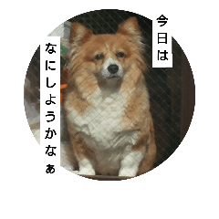 [LINEスタンプ] 大好き海ちゃん