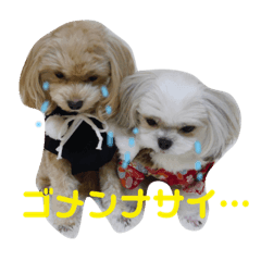 [LINEスタンプ] りくあんvol.2