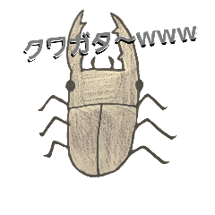[LINEスタンプ] クワガタ虫