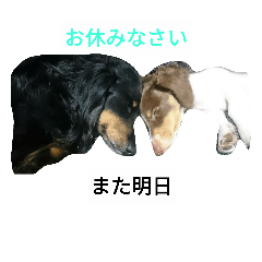 [LINEスタンプ] ほっこり愛犬スタンプ
