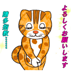 [LINEスタンプ] Taiwan_Leopard_cat v2