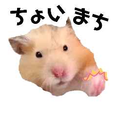 [LINEスタンプ] ハムスターのモンピー！！2