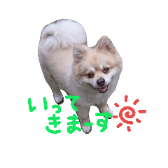 [LINEスタンプ] デカポメ ♂ ロアくん