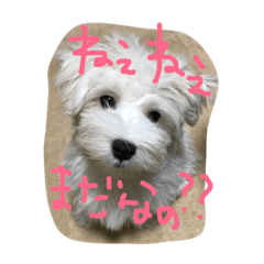[LINEスタンプ] もふもふモフ