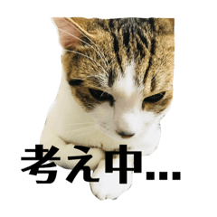 [LINEスタンプ] ココ＆リリー1