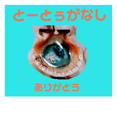 [LINEスタンプ] ユンヌフトゥバ：与論言葉