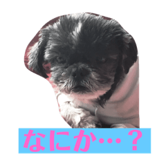 [LINEスタンプ] かわいいチーズくん