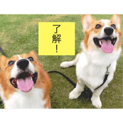 [LINEスタンプ] 麦サク