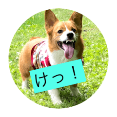 [LINEスタンプ] 麦ムキスタンプ
