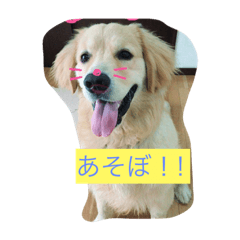 [LINEスタンプ] ろあくん