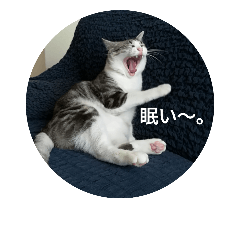 [LINEスタンプ] 猫にゃースタンプ