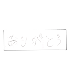 [LINEスタンプ] ふにゃ字スタンプ