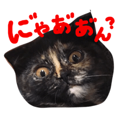 [LINEスタンプ] ふくろうにゃんこのジル
