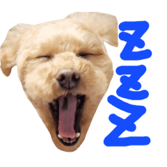 [LINEスタンプ] ちぃちゃん.