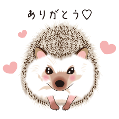 [LINEスタンプ] ハリネズミのクロナちゃん