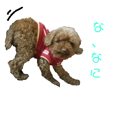 [LINEスタンプ] てつちゃん3