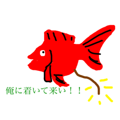 [LINEスタンプ] 観賞魚スタンプ