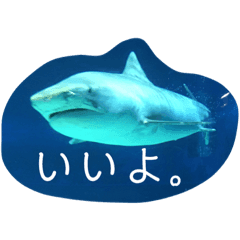 [LINEスタンプ] 自然に生きる人のスタンプ