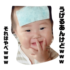 [LINEスタンプ] おらいのせがれ(庄内弁)
