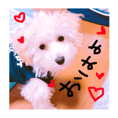 [LINEスタンプ] ふわたんLife♡