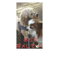 [LINEスタンプ] チロモコ2