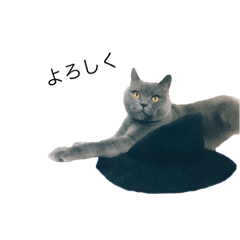 [LINEスタンプ] ふも兄さん