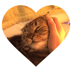 [LINEスタンプ] 須汪くん