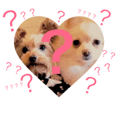[LINEスタンプ] ぽるみる犬