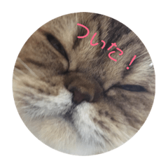 [LINEスタンプ] 我が家のうまた