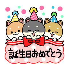 [LINEスタンプ] 柴犬の誕生日＆お祝い＆ありがとうの画像（メイン）