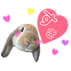 [LINEスタンプ] らむのすたんぷ