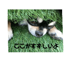 [LINEスタンプ] もこ＆らむね