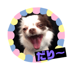 [LINEスタンプ] チワワのポティロン