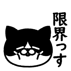 [LINEスタンプ] ハチワレのはち！