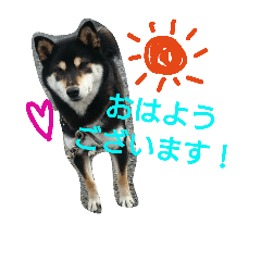 [LINEスタンプ] クレア姫様