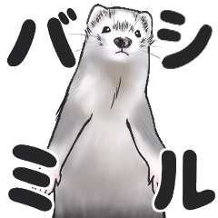 [LINEスタンプ] シルバーミットのスタンプ