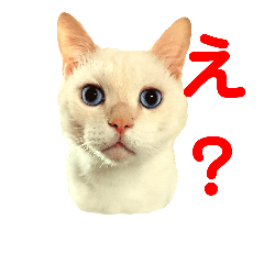 [LINEスタンプ] おうちにおいでスタンプ1
