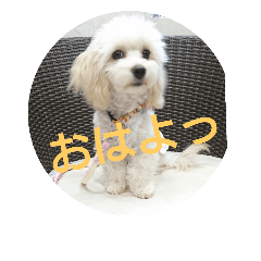 [LINEスタンプ] むぎのかわいいスタンプ