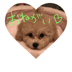 [LINEスタンプ] めいちゃの日常