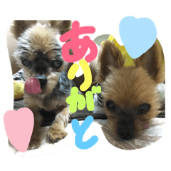 [LINEスタンプ] はるまりん2