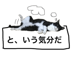 [LINEスタンプ] ハナシロさん2