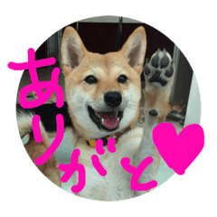 [LINEスタンプ] 柴犬るな