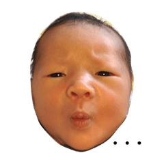 [LINEスタンプ] こた こた こた