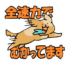 [LINEスタンプ] ちょぃゆる生き物スタンプ