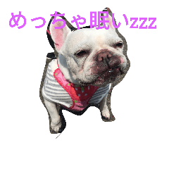 [LINEスタンプ] びびちゃん01