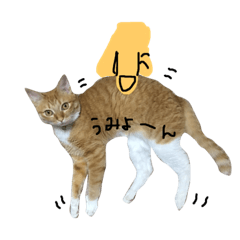 [LINEスタンプ] トロといっしょ