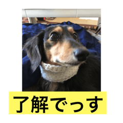 [LINEスタンプ] プルートスタンプ