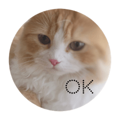 [LINEスタンプ] うちのさぼとまろんとちくわ