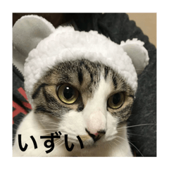 [LINEスタンプ] はなさまスタンプ